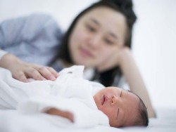 关于同志供卵代孕网